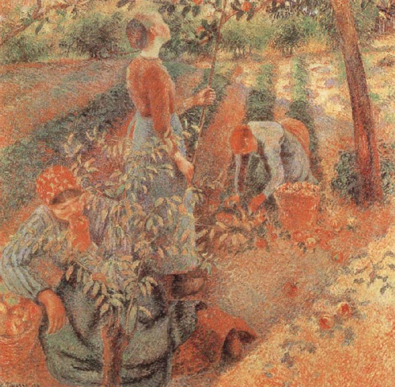 Camille Pissarro Apple picking